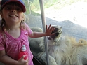 Kids_NancyVisit_DZoo (57)